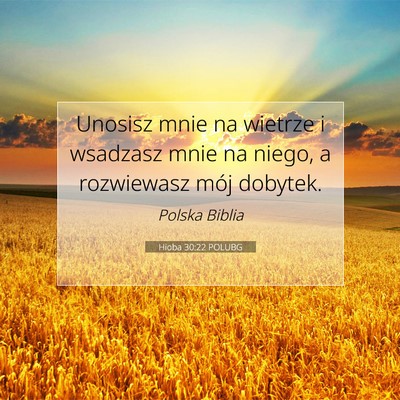 Picture 07 - Hioba 30:22 POLUBG - Unosisz mnie na wietrze i wsadzasz mnie na niego, - Bible Verse Picture
