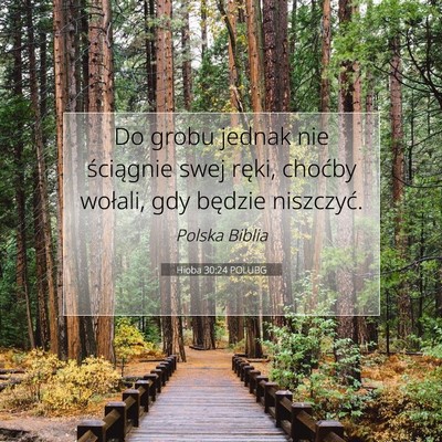 Picture 07 - Hioba 30:24 POLUBG - Do grobu jednak nie ściągnie swej ręki, - Bible Verse Picture