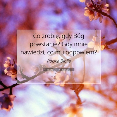 Picture 07 - Hioba 31:14 POLUBG - Co zrobię, gdy Bóg powstanie? Gdy mnie - Bible Verse Picture