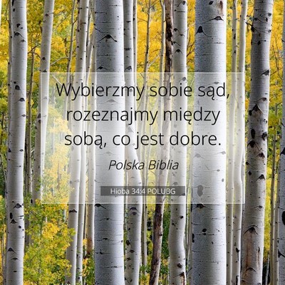 Picture 07 - Hioba 34:4 POLUBG - Wybierzmy sobie sąd, rozeznajmy między sobą, - Bible Verse Picture