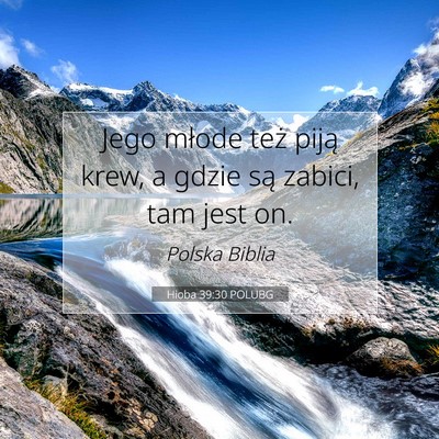 Picture 07 - Hioba 39:30 POLUBG - Jego młode też piją krew, a gdzie są zabici, - Bible Verse Picture