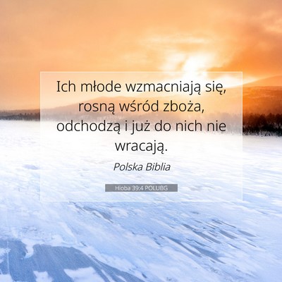 Picture 07 - Hioba 39:4 POLUBG - Ich młode wzmacniają się, rosną wśród - Bible Verse Picture