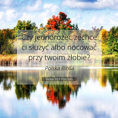 Picture 07 - Hioba 39:9 POLUBG - Czy jednorożec zechce ci służyć albo nocować - Bible Verse Picture