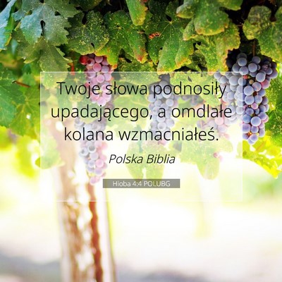 Picture 07 - Hioba 4:4 POLUBG - Twoje słowa podnosiły upadającego, a omdlałe - Bible Verse Picture