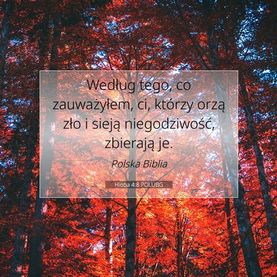 Picture 07 - Hioba 4:8 POLUBG - Według tego, co zauważyłem, ci, którzy orzą - Bible Verse Picture