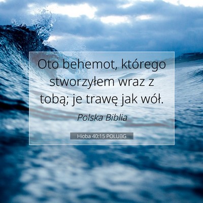 Picture 07 - Hioba 40:15 POLUBG - Oto behemot, którego stworzyłem wraz z tobą; - Bible Verse Picture