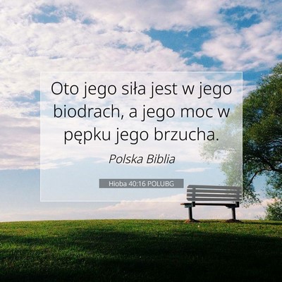 Picture 07 - Hioba 40:16 POLUBG - Oto jego siła jest w jego biodrach, a jego moc w - Bible Verse Picture