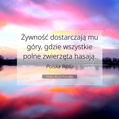 Picture 07 - Hioba 40:20 POLUBG - Żywność dostarczają mu góry, gdzie wszystkie - Bible Verse Picture