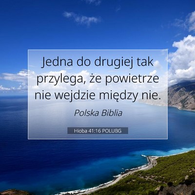 Picture 07 - Hioba 41:16 POLUBG - Jedna do drugiej tak przylega, że powietrze nie - Bible Verse Picture