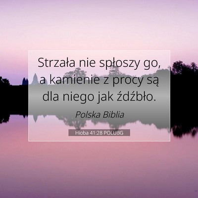 Picture 07 - Hioba 41:28 POLUBG - Strzała nie spłoszy go, a kamienie z procy są - Bible Verse Picture