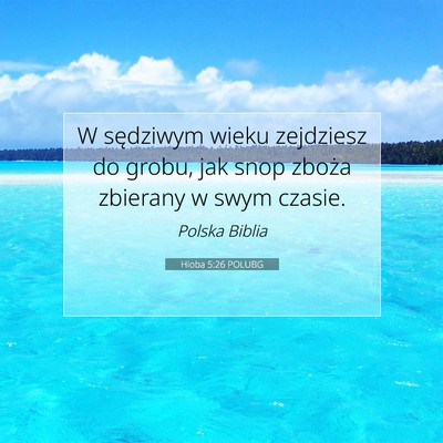Picture 07 - Hioba 5:26 POLUBG - W sędziwym wieku zejdziesz do grobu, jak snop - Bible Verse Picture