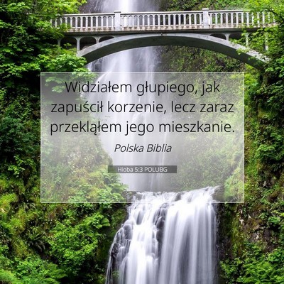 Picture 07 - Hioba 5:3 POLUBG - Widziałem głupiego, jak zapuścił korzenie, - Bible Verse Picture