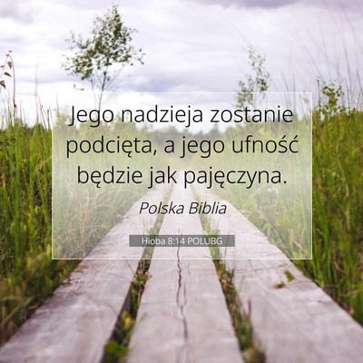 Picture 07 - Hioba 8:14 POLUBG - Jego nadzieja zostanie podcięta, a jego ufność - Bible Verse Picture