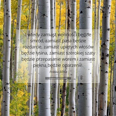 Picture 07 - Izajasza 3:24 POLUBG - I wtedy zamiast wonności będzie smród, zamiast - Bible Verse Picture