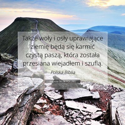 Picture 07 - Izajasza 30:24 POLUBG - Także woły i osły uprawiające ziemię będą - Bible Verse Picture