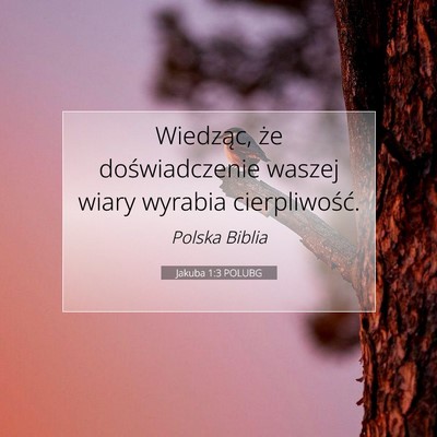 Picture 07 - Jakuba 1:3 POLUBG - Wiedząc, że doświadczenie waszej wiary wyrabia - Bible Verse Picture