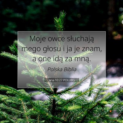 Picture 07 - Jana 10:27 POLUBG - Moje owce słuchają mego głosu i ja je znam, a - Bible Verse Picture