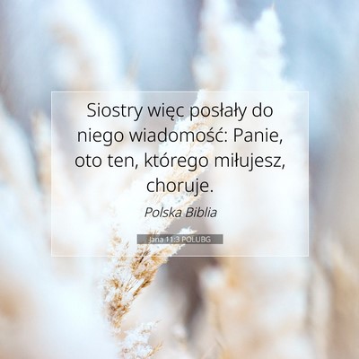 Picture 07 - Jana 11:3 POLUBG - Siostry więc posłały do niego wiadomość: - Bible Verse Picture