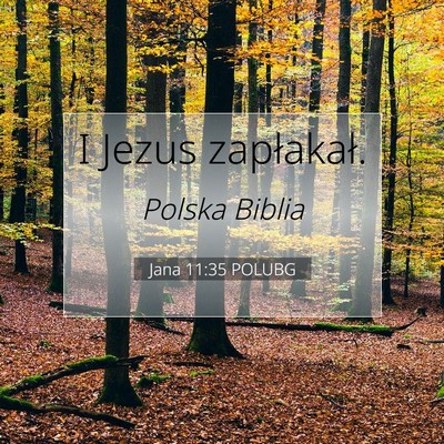 Picture 07 - Jana 11:35 POLUBG - I Jezus - Bible Verse Picture