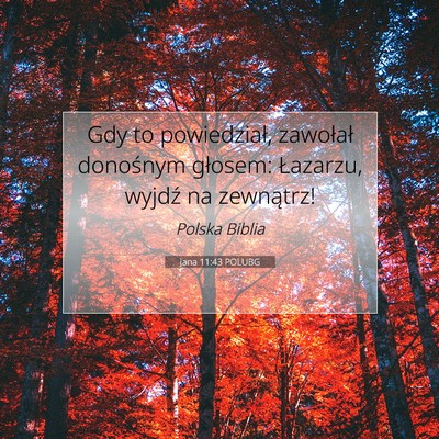 Picture 07 - Jana 11:43 POLUBG - Gdy to powiedział, zawołał donośnym głosem: - Bible Verse Picture
