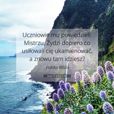 Picture 07 - Jana 11:8 POLUBG - Uczniowie mu powiedzieli: Mistrzu, Żydzi dopiero - Bible Verse Picture