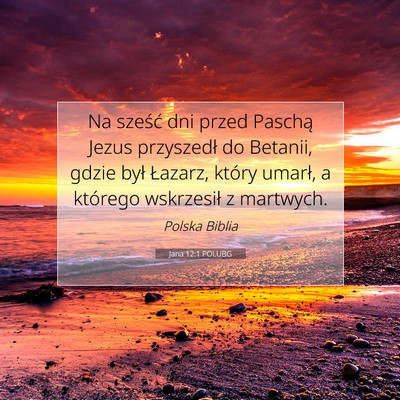 Picture 07 - Jana 12:1 POLUBG - Na sześć dni przed Paschą Jezus przyszedł do - Bible Verse Picture