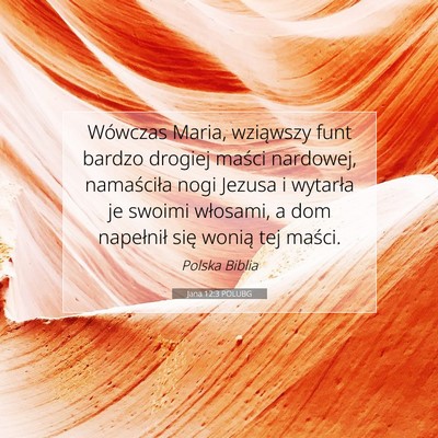 Picture 07 - Jana 12:3 POLUBG - Wówczas Maria, wziąwszy funt bardzo drogiej - Bible Verse Picture