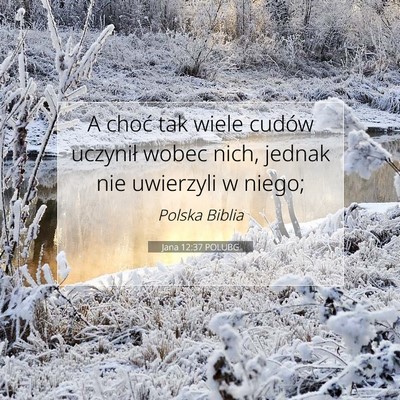 Picture 07 - Jana 12:37 POLUBG - A choć tak wiele cudów uczynił wobec nich, - Bible Verse Picture