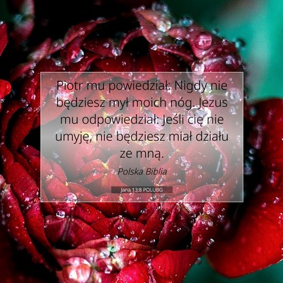Picture 07 - Jana 13:8 POLUBG - Piotr mu powiedział: Nigdy nie będziesz mył - Bible Verse Picture