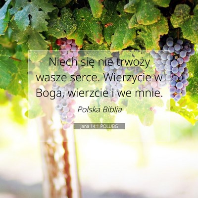 Picture 07 - Jana 14:1 POLUBG - Niech się nie trwoży wasze serce. Wierzycie w - Bible Verse Picture