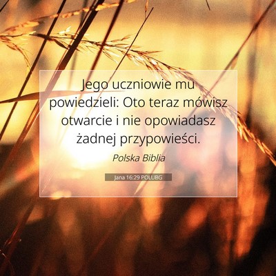 Picture 07 - Jana 16:29 POLUBG - Jego uczniowie mu powiedzieli: Oto teraz mówisz - Bible Verse Picture