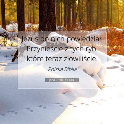 Picture 07 - Jana 21:10 POLUBG - Jezus do nich powiedział: Przynieście z tych - Bible Verse Picture