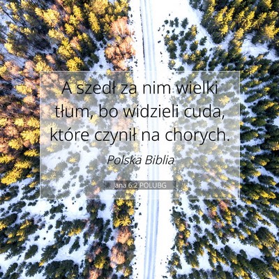 Picture 07 - Jana 6:2 POLUBG - A szedł za nim wielki tłum, bo widzieli cuda, - Bible Verse Picture