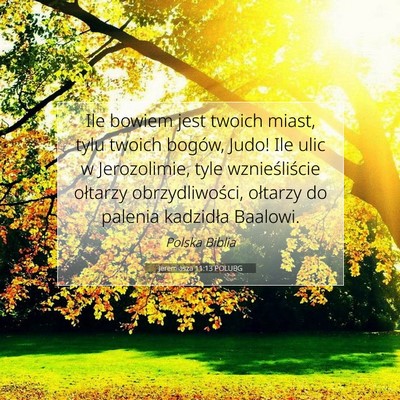Picture 07 - Jeremiasza 11:13 POLUBG - Ile bowiem jest twoich miast, tylu twoich bogów, - Bible Verse Picture