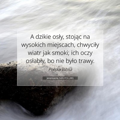 Picture 07 - Jeremiasza 14:6 POLUBG - A dzikie osły, stojąc na wysokich miejscach, - Bible Verse Picture