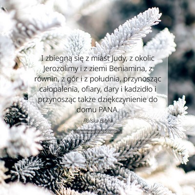 Picture 07 - Jeremiasza 17:26 POLUBG - I zbiegną się z miast Judy, z okolic Jerozolimy - Bible Verse Picture