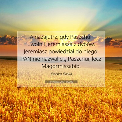Picture 07 - Jeremiasza 20:3 POLUBG - A nazajutrz, gdy Paszchur uwolnił Jeremiasza z - Bible Verse Picture
