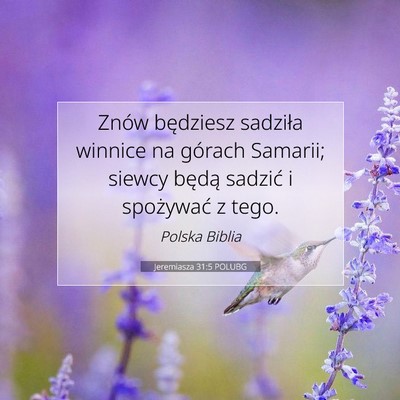 Picture 07 - Jeremiasza 31:5 POLUBG - Znów będziesz sadziła winnice na górach - Bible Verse Picture