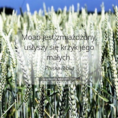 Picture 07 - Jeremiasza 48:4 POLUBG - Moab jest zmiażdżony, usłyszy się krzyk jego - Bible Verse Picture
