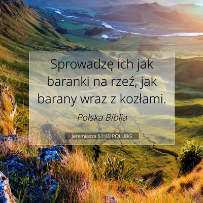 Picture 07 - Jeremiasza 51:40 POLUBG - Sprowadzę ich jak baranki na rzeź, jak barany - Bible Verse Picture