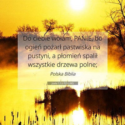 Picture 07 - Joela 1:19 POLUBG - Do ciebie wołam, PANIE, bo ogień pożarł - Bible Verse Picture