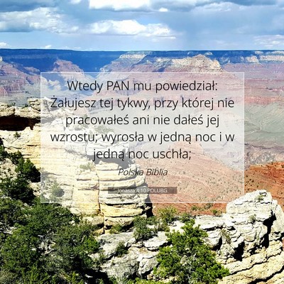 Picture 07 - Jonasza 4:10 POLUBG - Wtedy PAN mu powiedział: Żałujesz tej tykwy, - Bible Verse Picture
