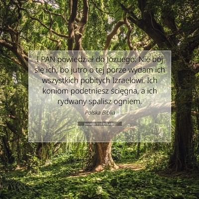 Picture 07 - Jozuego 11:6 POLUBG - I PAN powiedział do Jozuego: Nie bój się ich, - Bible Verse Picture