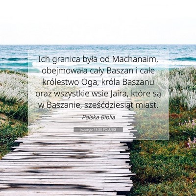Picture 07 - Jozuego 13:30 POLUBG - Ich granica była od Machanaim, obejmowała cały - Bible Verse Picture