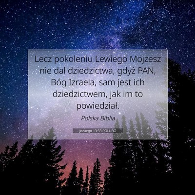 Picture 07 - Jozuego 13:33 POLUBG - Lecz pokoleniu Lewiego Mojżesz nie dał - Bible Verse Picture