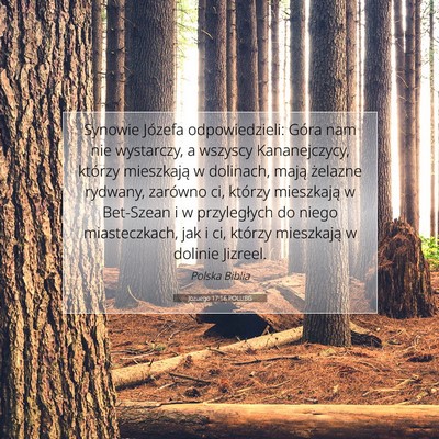 Picture 07 - Jozuego 17:16 POLUBG - Synowie Józefa odpowiedzieli: Góra nam nie - Bible Verse Picture