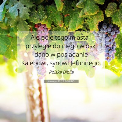Picture 07 - Jozuego 21:12 POLUBG - Ale pole tego miasta i przyległe do niego wioski - Bible Verse Picture