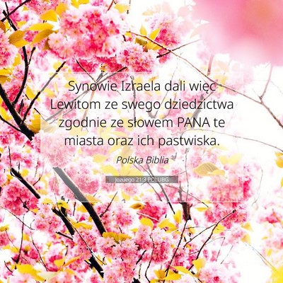 Picture 07 - Jozuego 21:3 POLUBG - Synowie Izraela dali więc Lewitom ze swego - Bible Verse Picture