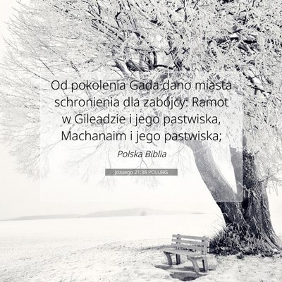 Picture 07 - Jozuego 21:38 POLUBG - Od pokolenia Gada dano miasta schronienia dla - Bible Verse Picture