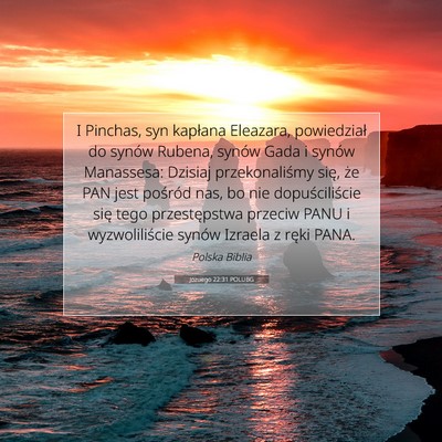Picture 07 - Jozuego 22:31 POLUBG - I Pinchas, syn kapłana Eleazara, powiedział do - Bible Verse Picture